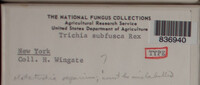 Image Associated With the Occurence